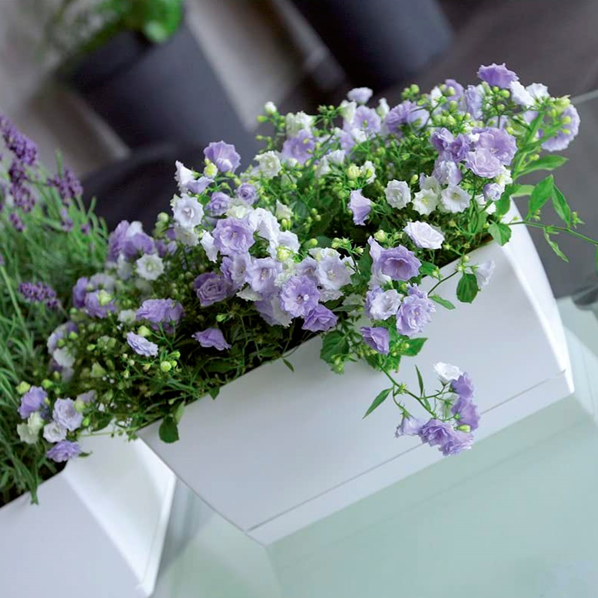 2x jardinera de plastico coubi case p en color blanco 29 (largo) x 14,2 (ancho) x 13,6 (altura) cm