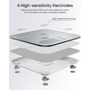 Pèse personne connecté RENPHO Connectee Elis 1C A033