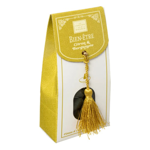 Cônes d'encens avec support 79g