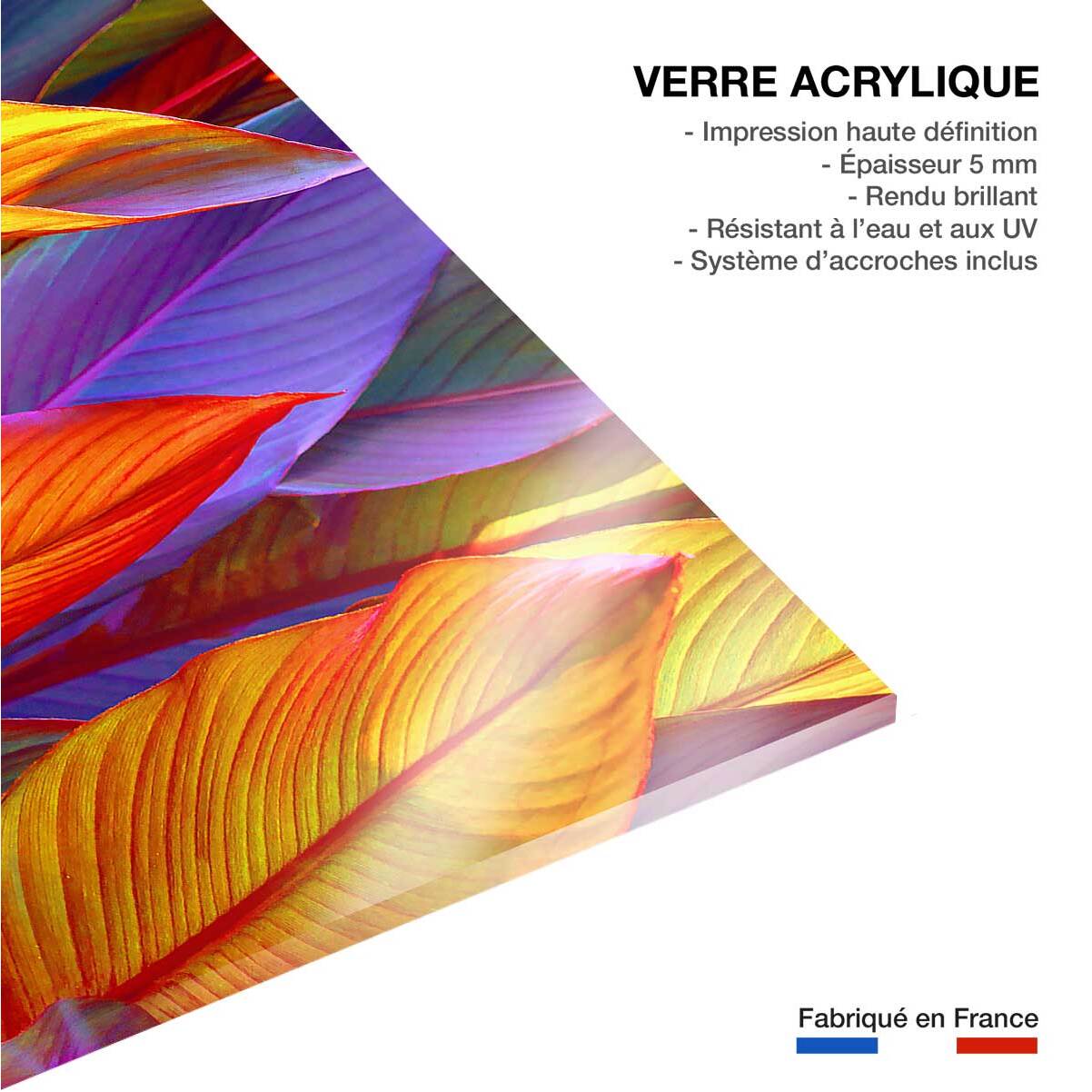 Tableau palm leaves yellow background Tableau plexiglas