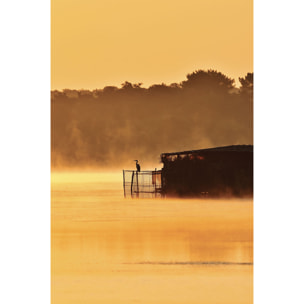 Tableau nature héron sur l'étang blanc  Tableau alu Dibond