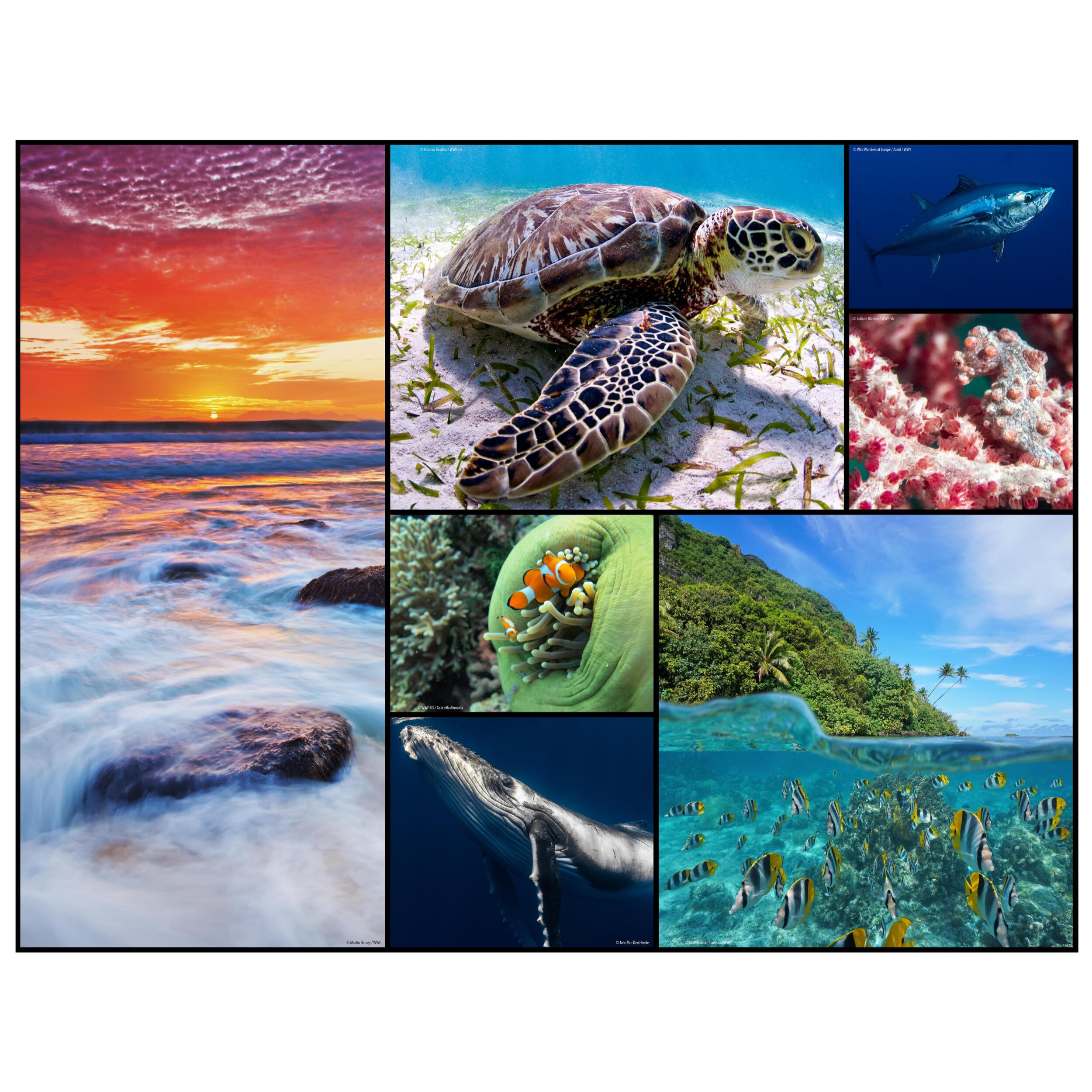 WWF ROMPECABEZAS OCEANOS - 48 PCS