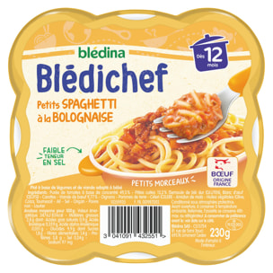 9 Assiettes Spaghetti à la Bolognaise (9x230g) - Blédichef Dès 12 Mois