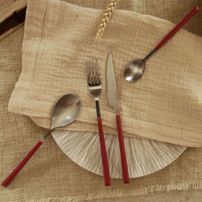 Lot de 6 cuillères de table rouges en acier inoxydable  COLORAMA