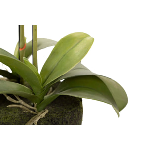 Orquidea Poliester Blanca Con Maceta 34x34x71 Cm