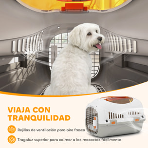 Transportín para Gatos y Perros Pequeños, Caja de Transporte de Plástico, Carga 4 kg, con Claraboya, Cuenco, Puerta de Acero, Cerradura Triple, Base Elevada, 49x32x31 cm, Gris Claro