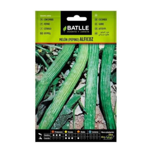Semillas de Pepino Alficoz Batlle