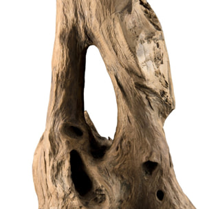 CLARA - Objet décoration bois teck branche naturelle 'M'