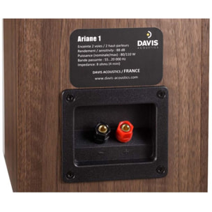 Enceinte surround DAVIS ARIANE 1 Noyer x2