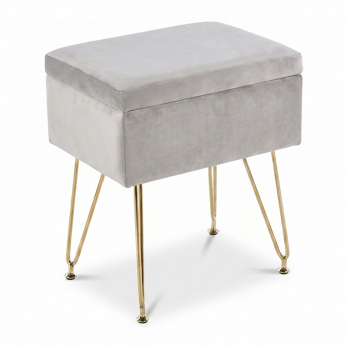Panca Contenitore in Effetto Velluto con Seduta Imbottita e Vano Portaoggetti, Design Moderno con Gambe in Acciaio per Ingresso, Camera da Letto e Soggiorno