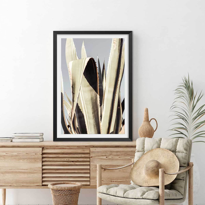 Poster cactus mexicain Affiche sous cadre noir