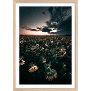 Affiche fleurs wake up sunflowers! Affiche + cadre en bois - Chêne