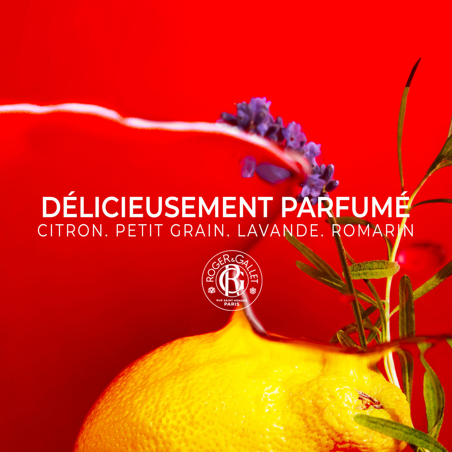 Jean-Marie Farina - Déodorant Stick 50g