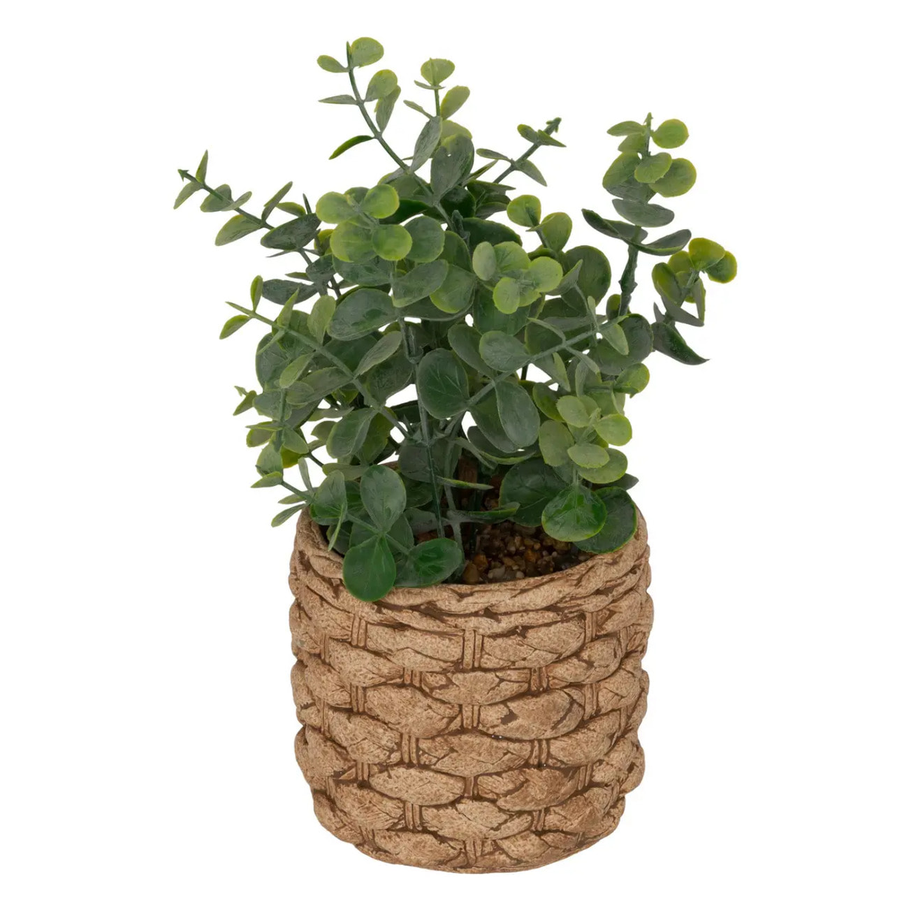 Eucalyptus artificiel en pot "Jaye" H27cm