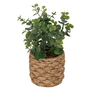 Eucalyptus artificiel en pot "Jaye" H27cm