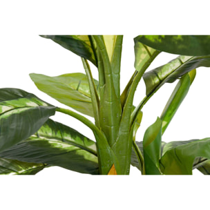 Planta Artificial Dieffenbachia Dotied Con Maceta 55x55x130 Cm