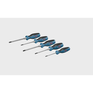 GSR 12V-15 Professional et outillage à main - BOSCH - avec 2 batterie 12V 2Ah - chargeur - L-Boxx - 060186810R
