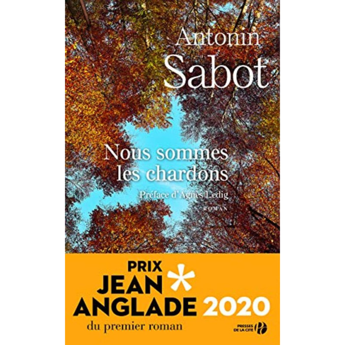 Sabot, Antonin | Nous sommes les chardons | Livre d'occasion