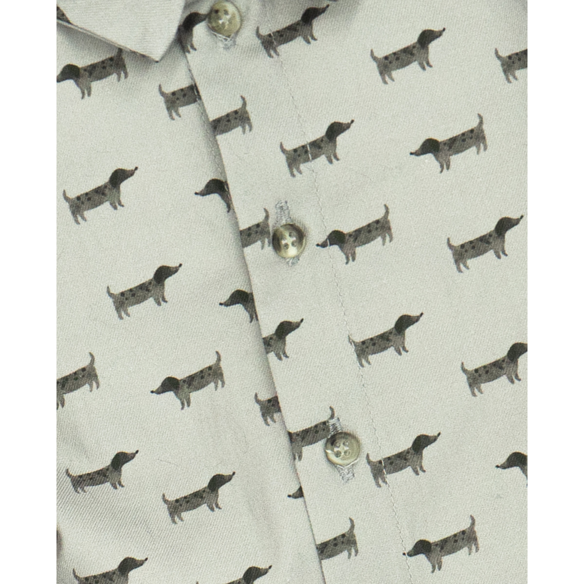 CAMISA CUELLO PICO PERRITOS GRIS