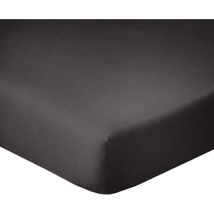 Drap housse coton gris fonce