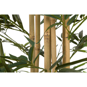 Planta Bamboo Con Maceta 80x80x192 Cm