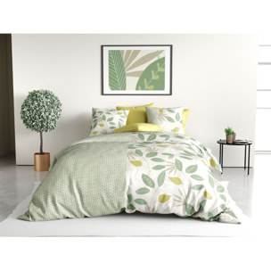 Parure housse de couette coton vert