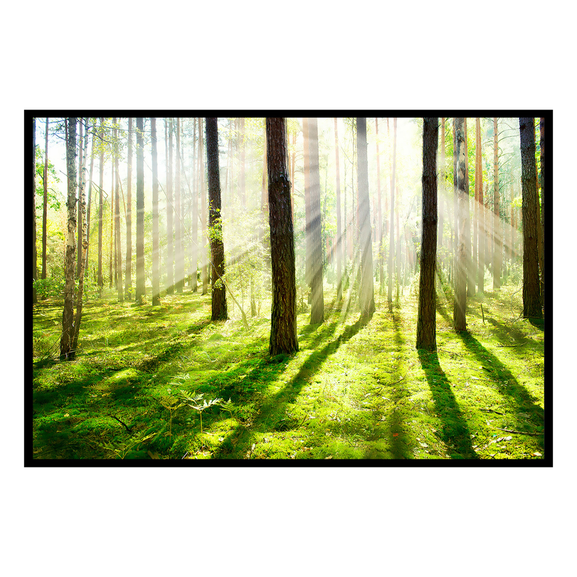 Affiche encadrée forêt lumineuse au soleil Affiche + cadre en métal - Noir