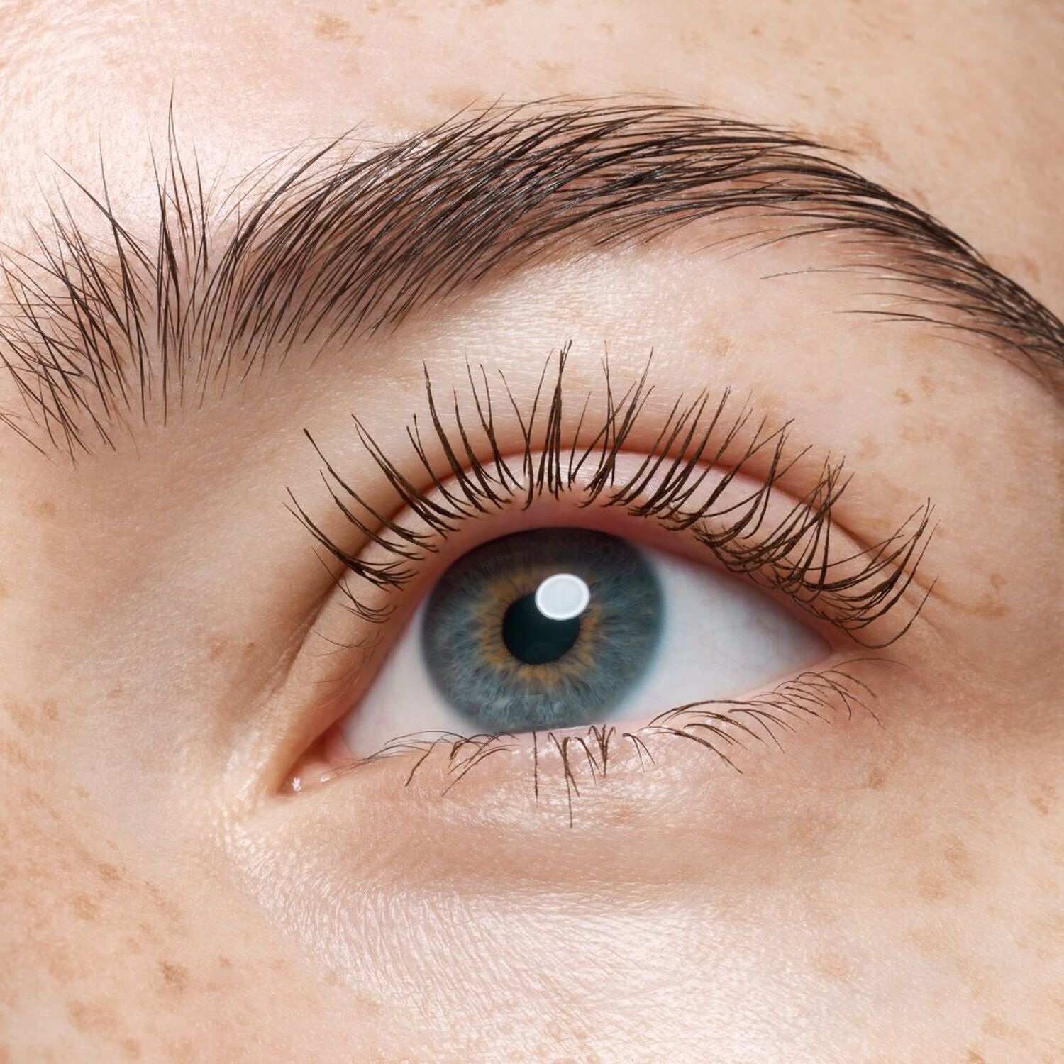 Glam & Doll - Mascara Waterproof Brun 10 ml