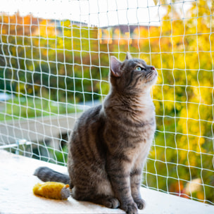 Filet de sécurité spécial balcon pour chat