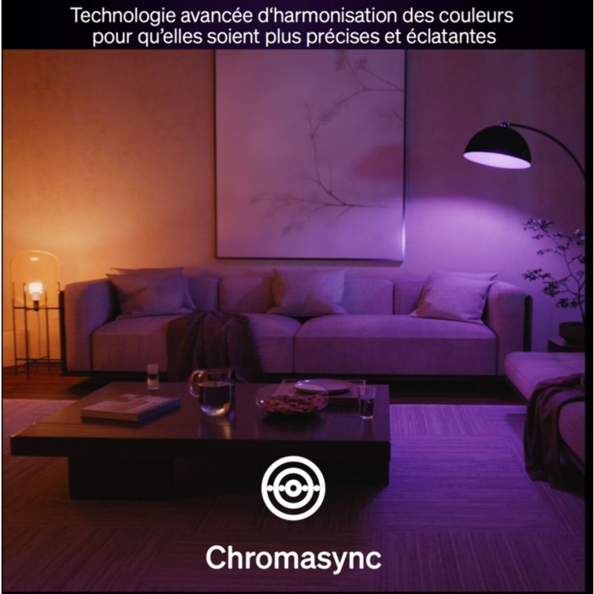Ampoule LED connectée PHILIPS HUE E27 White&Color Ambiance pack de 2