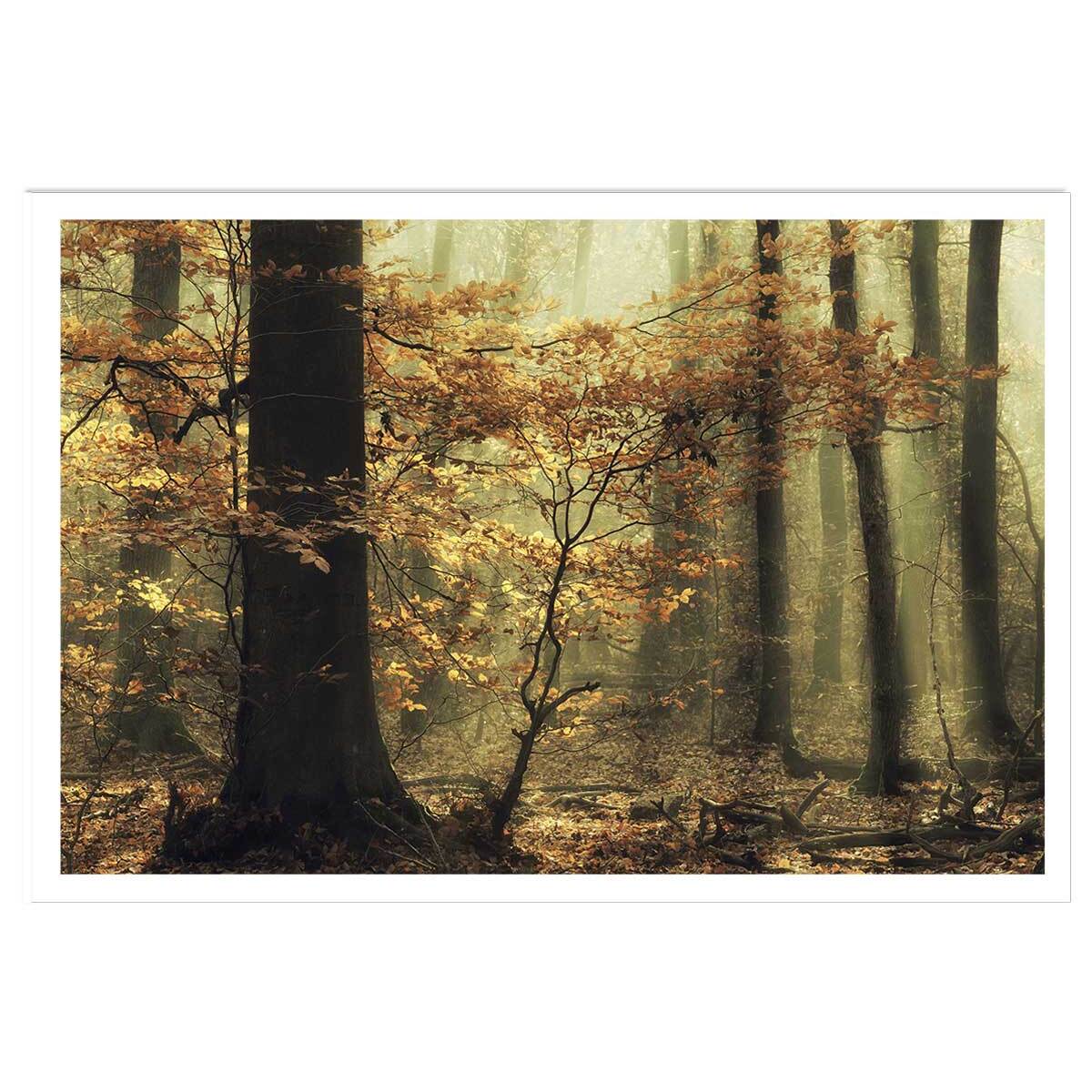 Affiche ""les feuilles d'automne"" Affiche seule