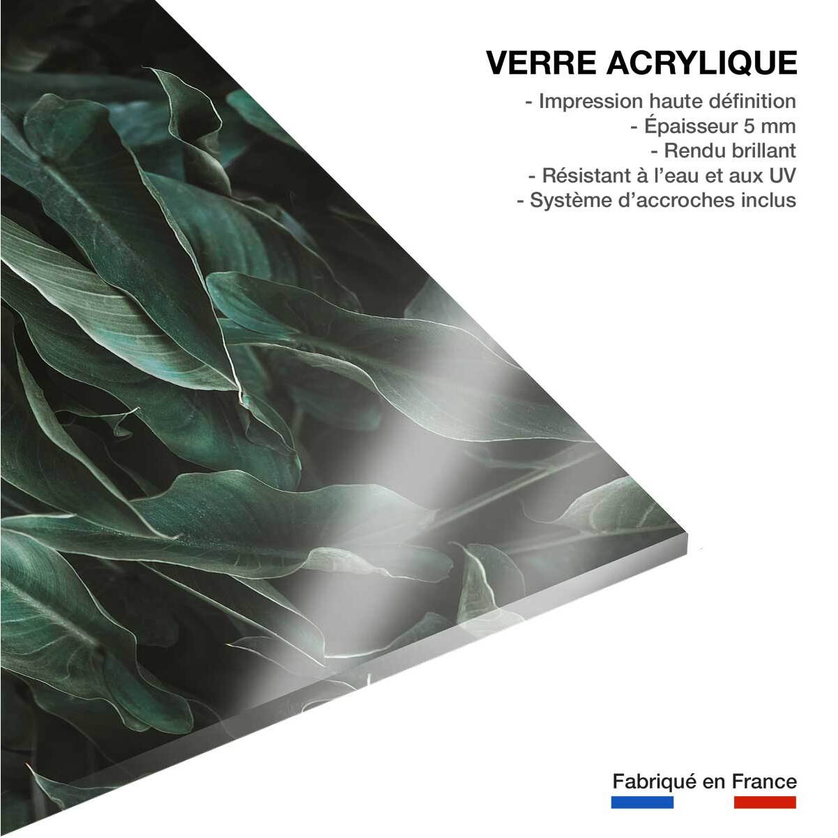 Tableau cactus green leaves  Tableau plexiglas