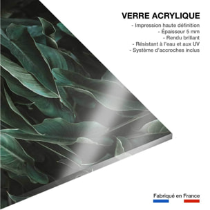 Tableau cactus green leaves  Tableau plexiglas