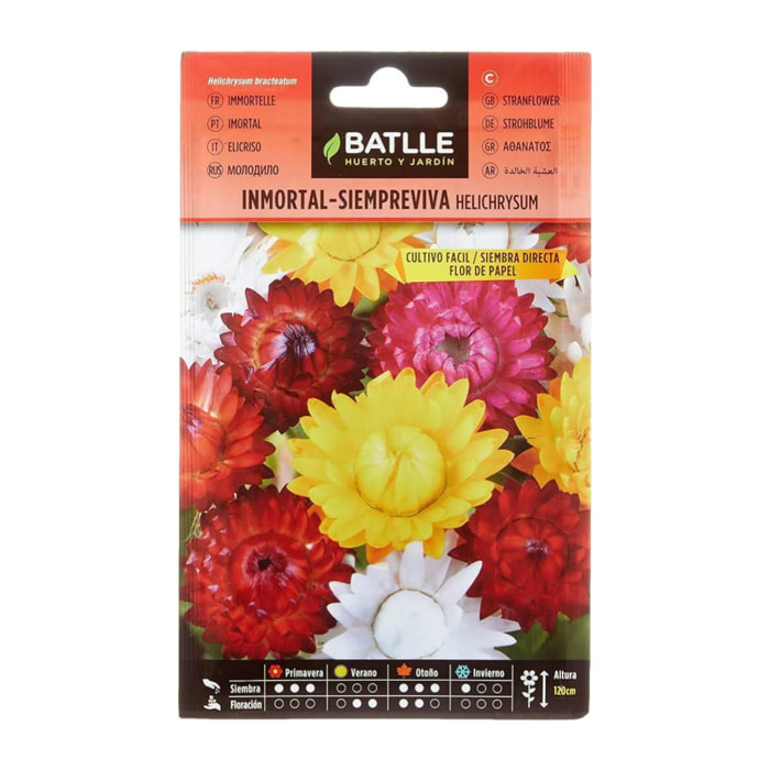Semillas de Inmortal Siempreviva flor de papel Batlle