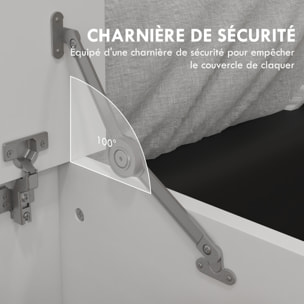 Coffre malle de rangement coffre à jouets dim. 80L x 40l x 40H cm panneaux particules blanc