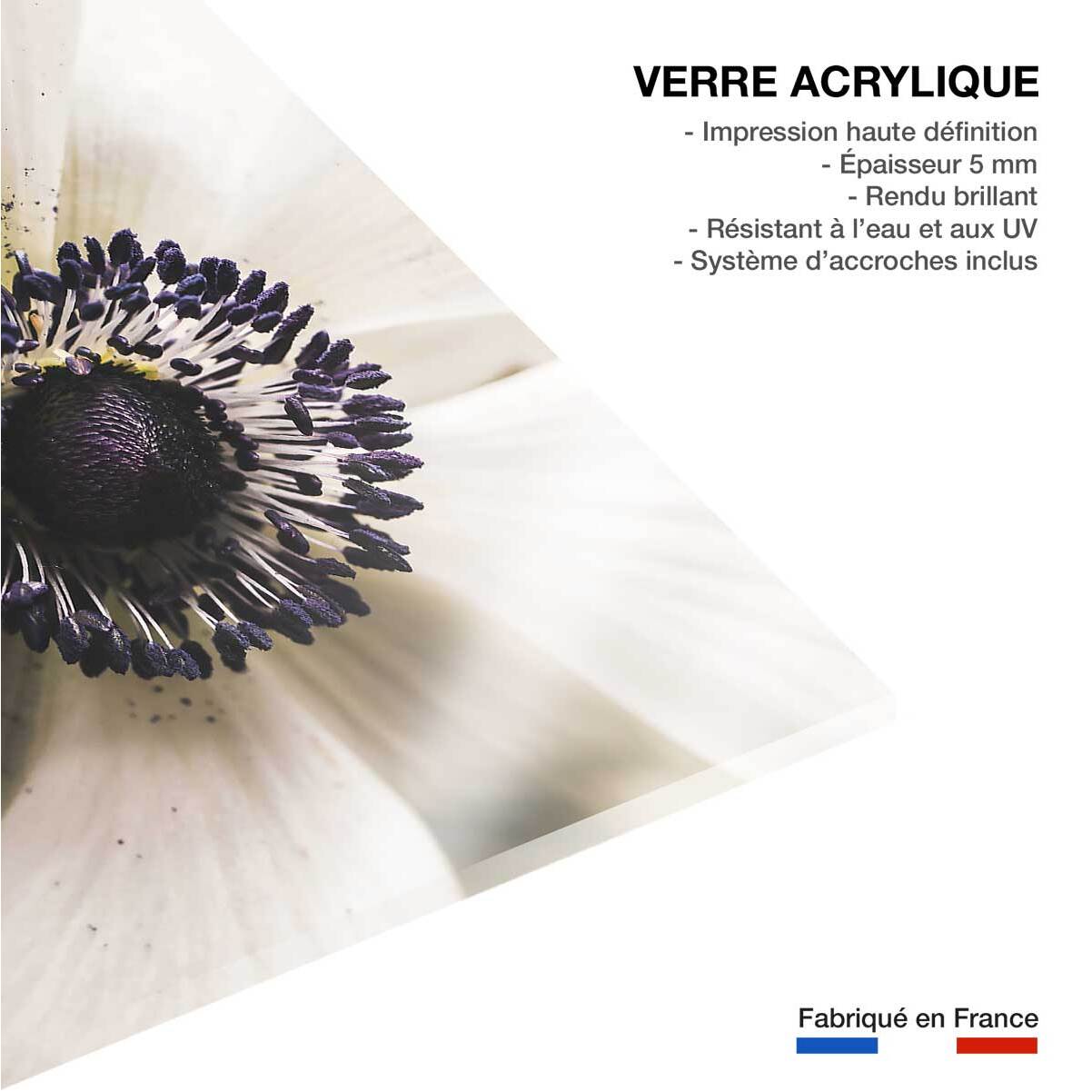 Tableau plantes fleur blanche au coeur violet  Tableau plexiglas