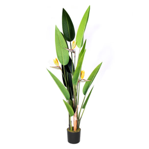 Planta Artificial Ave Del Paraiso Flor 185 Cm