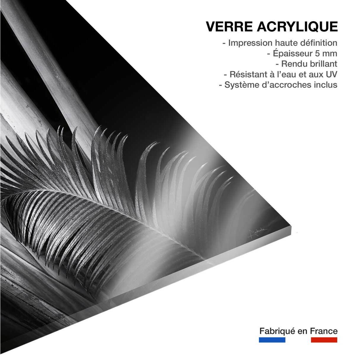 Tableau fleurs Marbella palm Tableau plexiglas