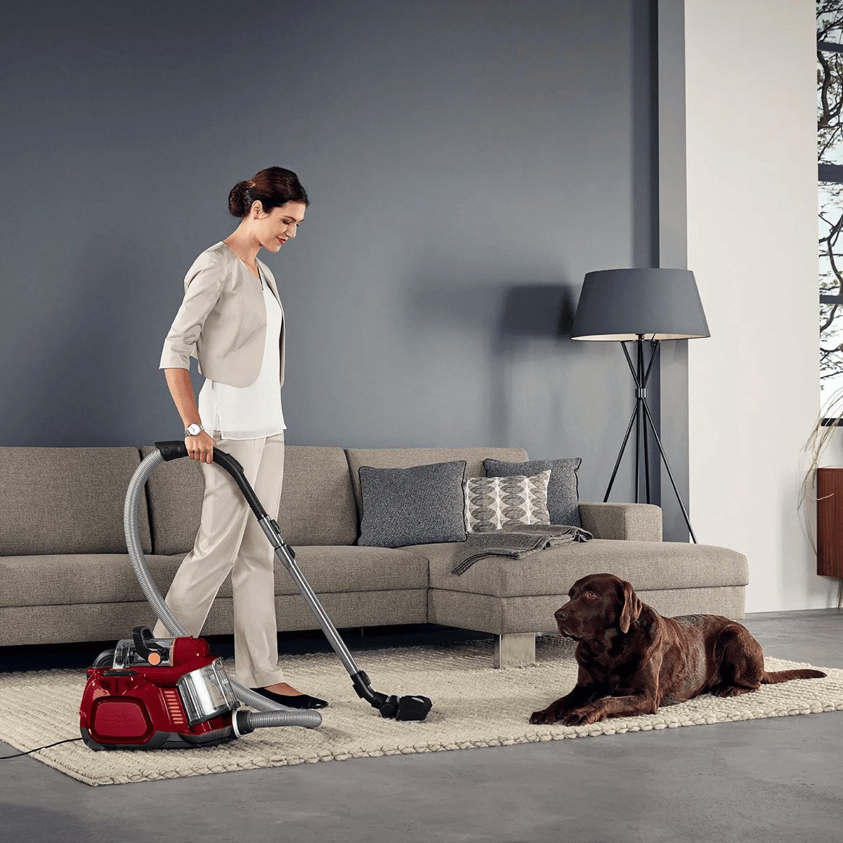 AEG Aspiradora sin bolsa LX7 de 750 W y 72 dB(A) LX7-2-CR-A | Reacondicionado