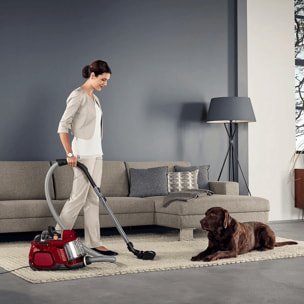 AEG Aspiradora sin bolsa LX7 de 750 W y 72 dB(A) LX7-2-CR-A | Reacondicionado
