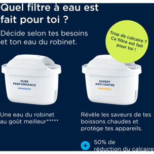Cartouche filtrante BRITA Pack de 6 cartouches Maxtra Pro all-in-1