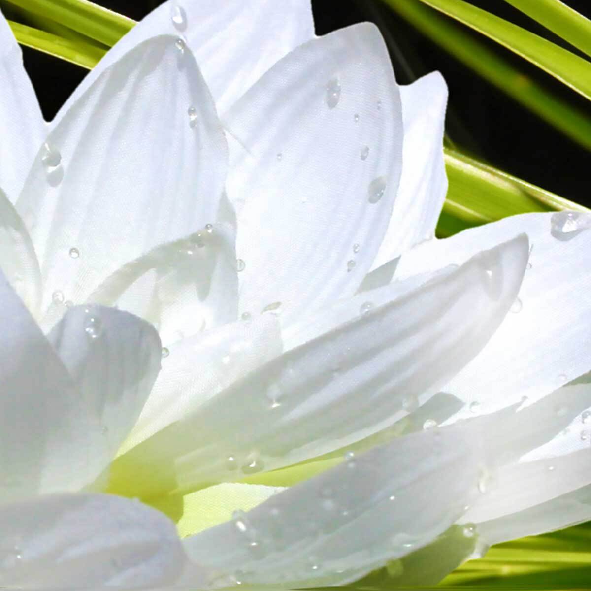 Tableau deco ambiance zen et fleur de lotus - 80x50 cm Toile imprimée