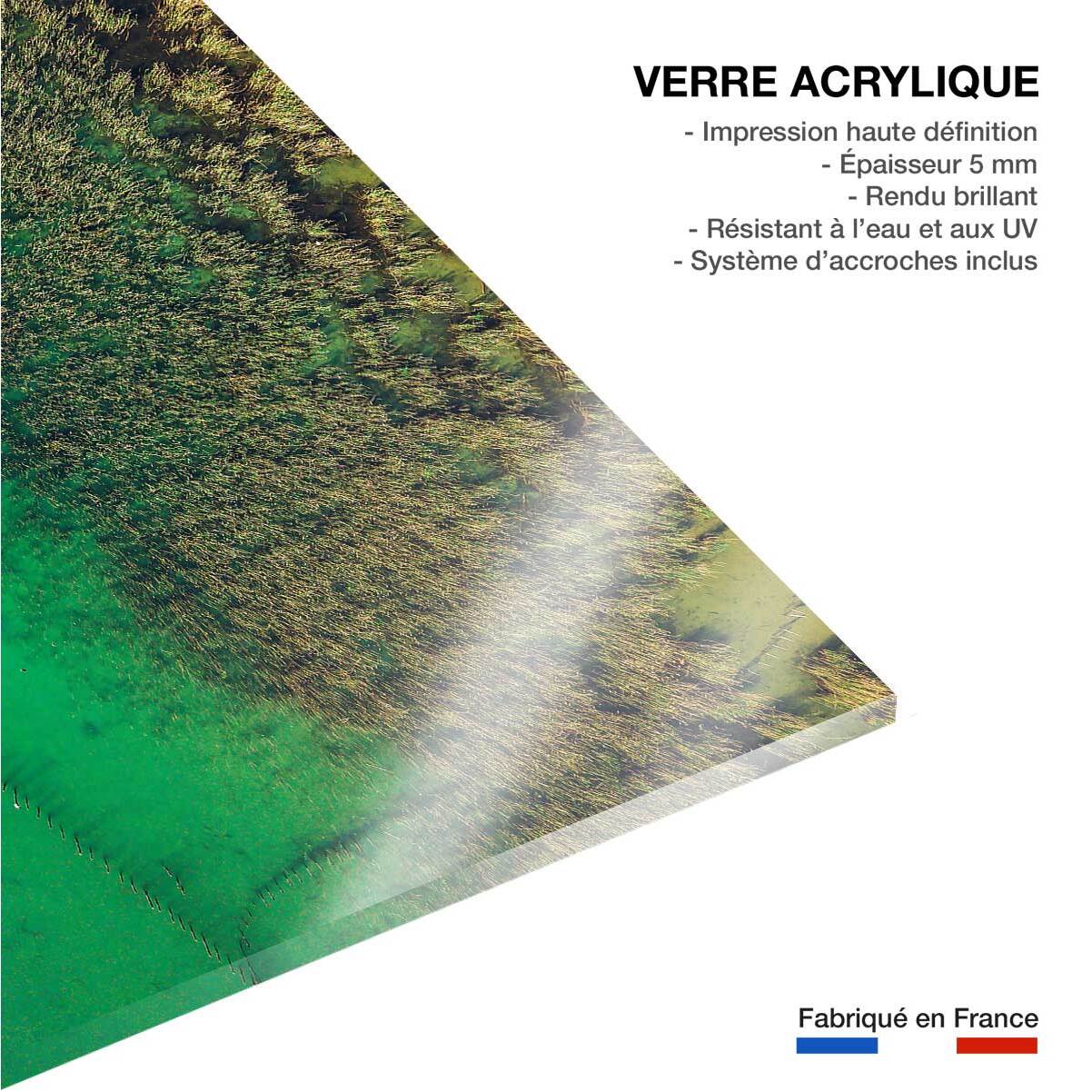 Tableau végétaux et flore aquatique Tableau plexiglas