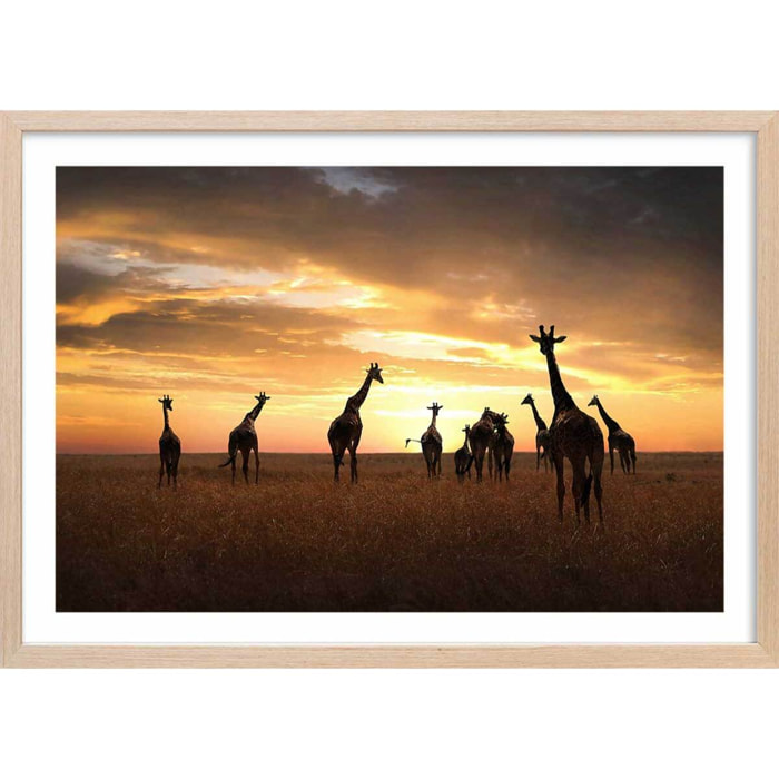 Affiche animaux girafes family Affiche + cadre en bois - Chêne