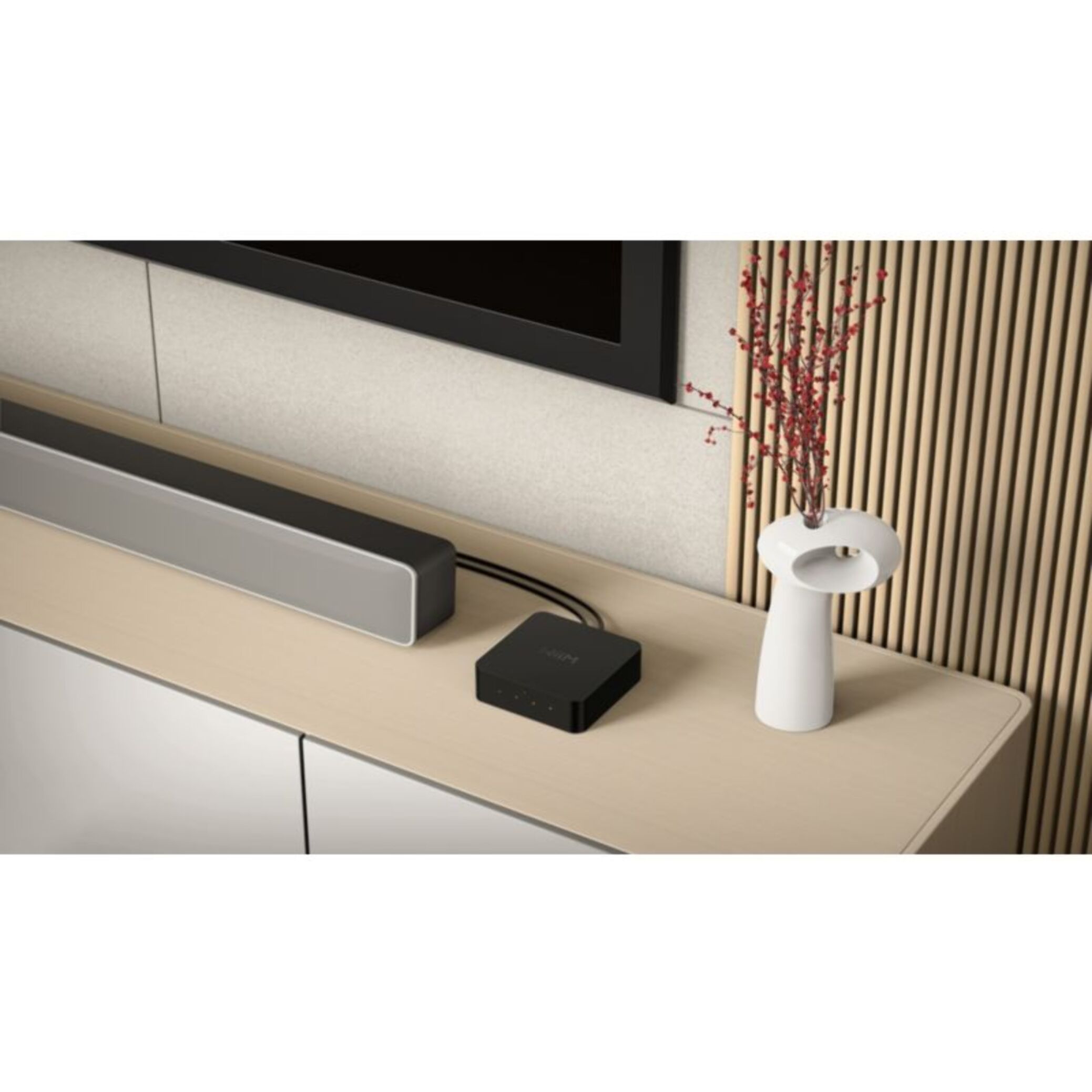 Lecteur réseau HiFi WIIM Pro +