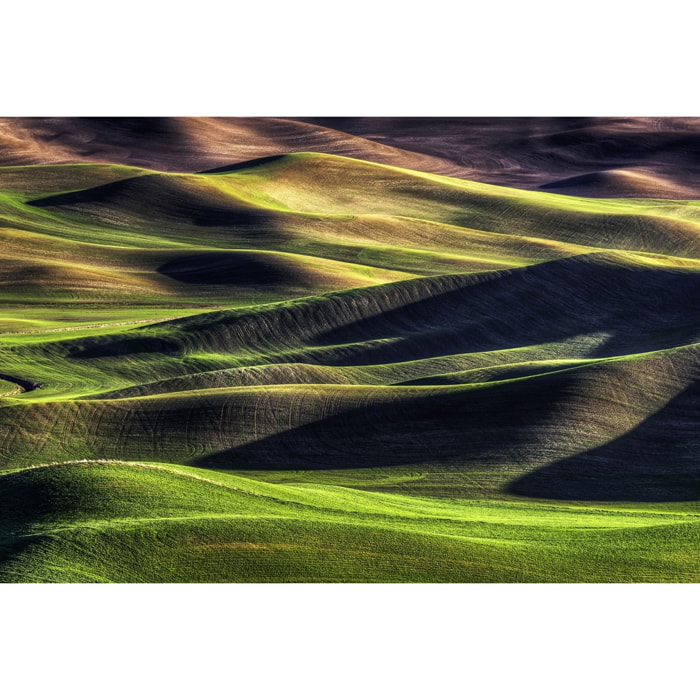 Tableau Champs et colline USA Tableau plexiglas