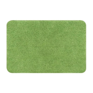 Tapis de bain Acrylique BRIZZOLO Vert Spirella