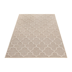 PATARA - Tapis intérieur/extérieur motif baroque beige - PAT4951BEI