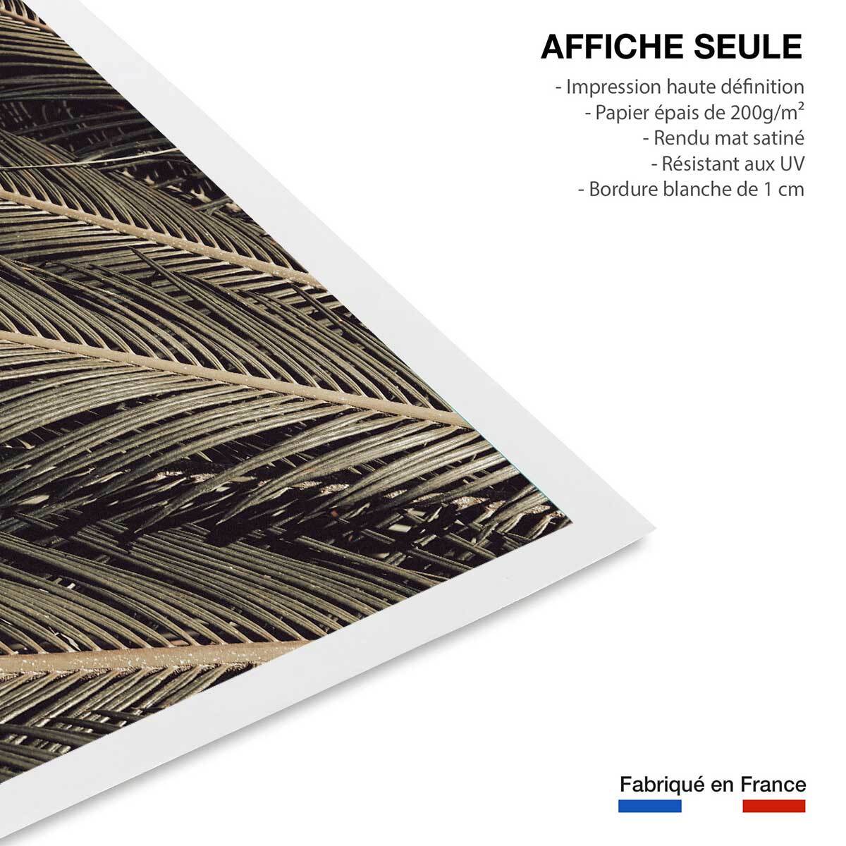 Poster palm island Affiche seule