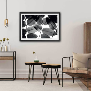 Affiche reproduction experiments with leaves i Affiche + cadre en bois - Noir